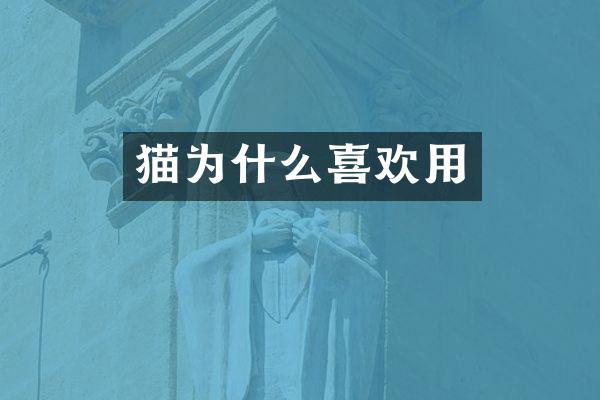 猫为什么喜欢用