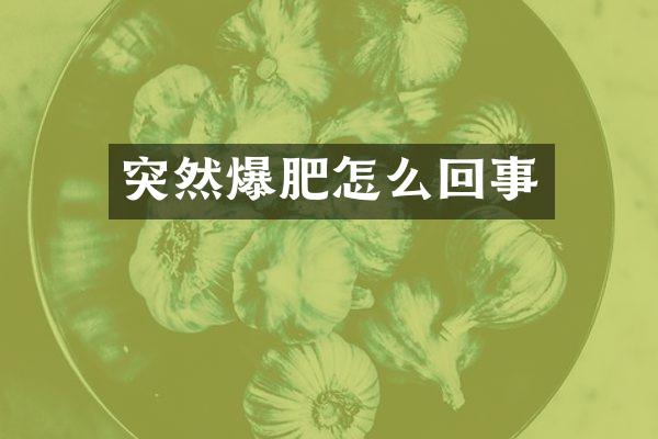 突然爆肥怎么回事