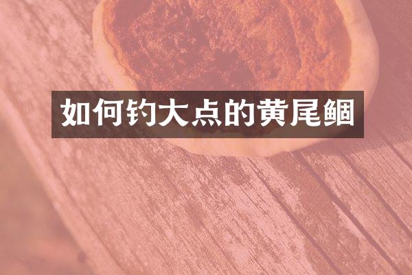 如何钓大点的黄尾鲴