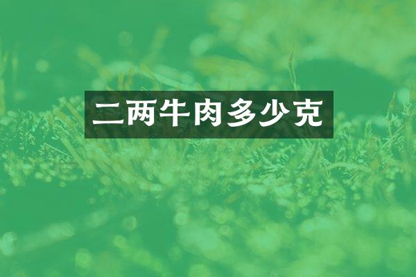二两牛肉多少克