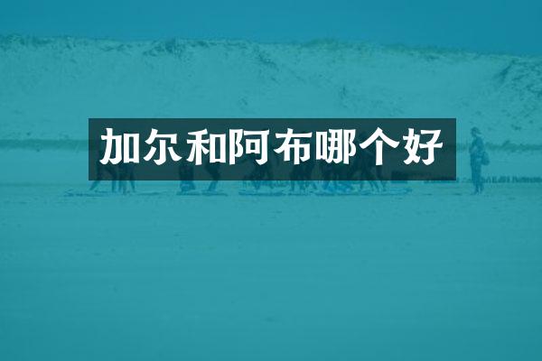 加尔和阿布哪个好