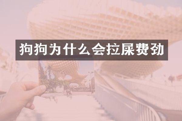 狗狗为什么会拉屎费劲