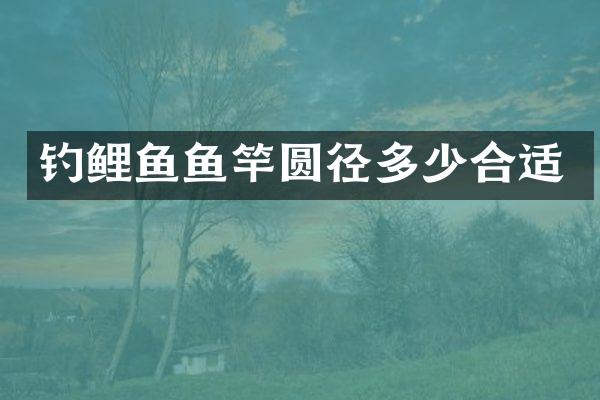 钓鲤鱼鱼竿圆径多少合适