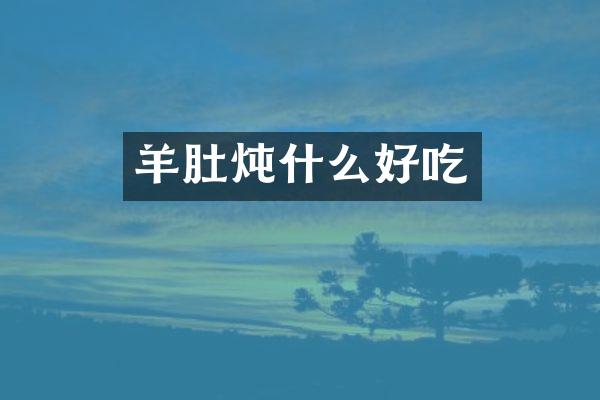 羊肚炖什么好吃