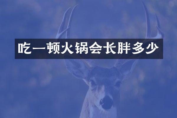 吃一顿火锅会长胖多少