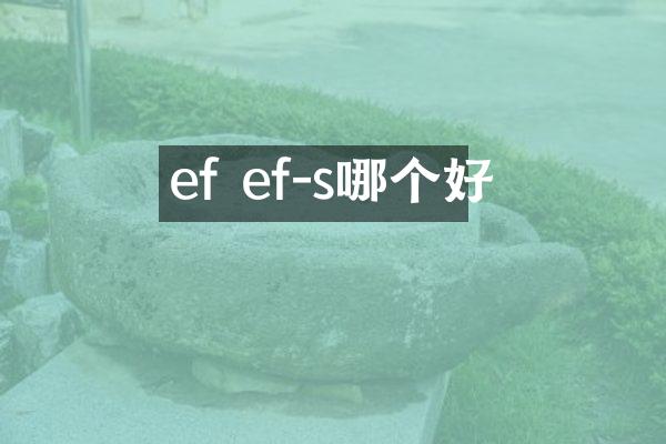 ef ef-s哪个好