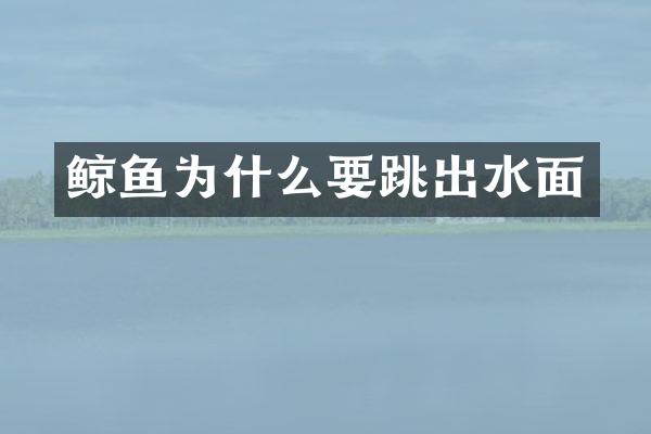 鲸鱼为什么要跳出水面