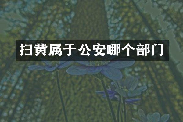 扫黄属于公安哪个部门