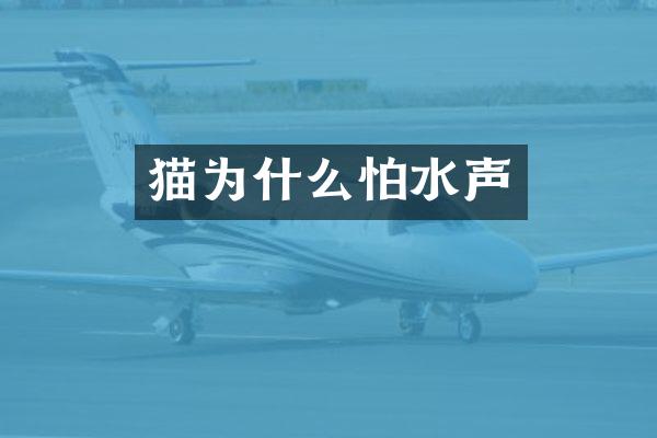 猫为什么怕水声