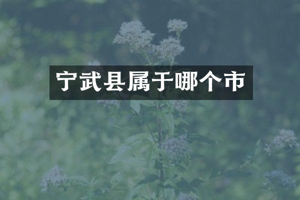 宁武县属于哪个市