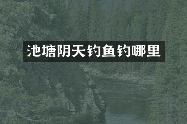 池塘阴天钓鱼钓哪里