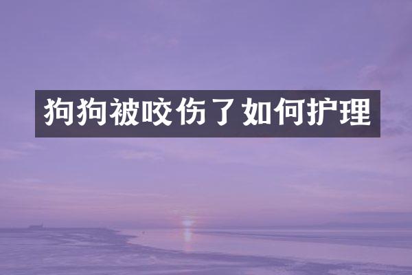 狗狗被咬伤了如何护理