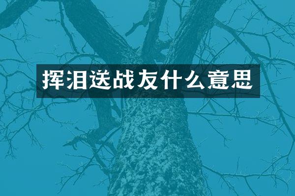 挥泪送战友什么意思