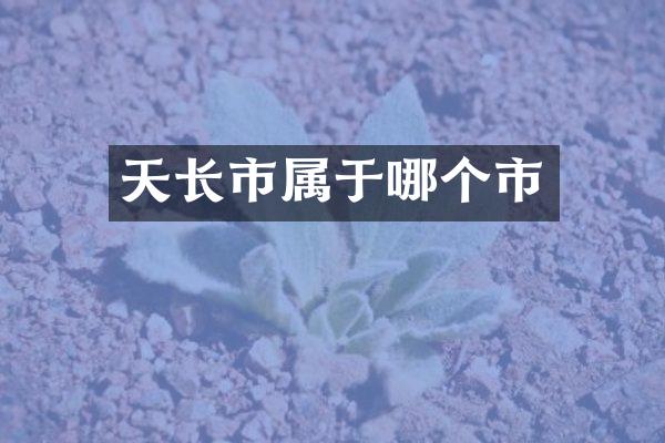 天长市属于哪个市