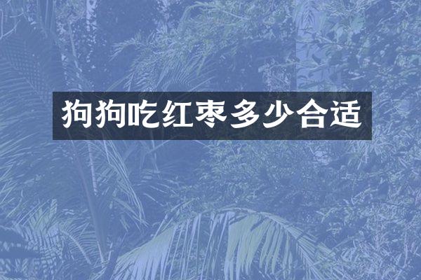 狗狗吃红枣多少合适