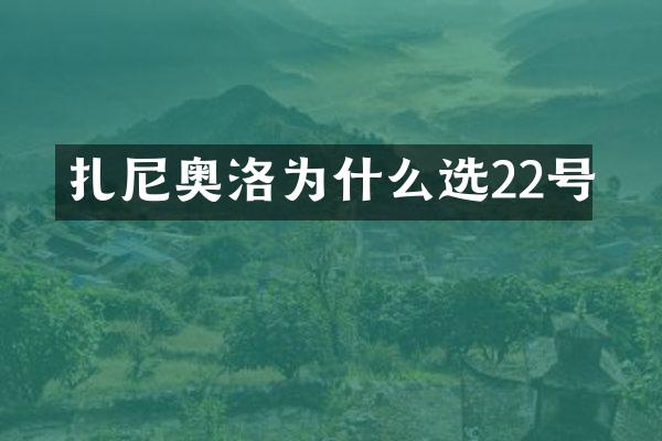 扎尼奥洛为什么选22号