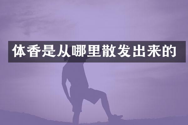 体香是从哪里散发出来的