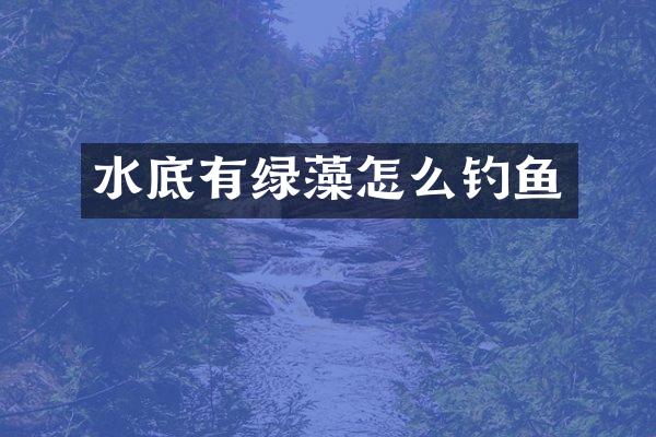 水底有绿藻怎么钓鱼