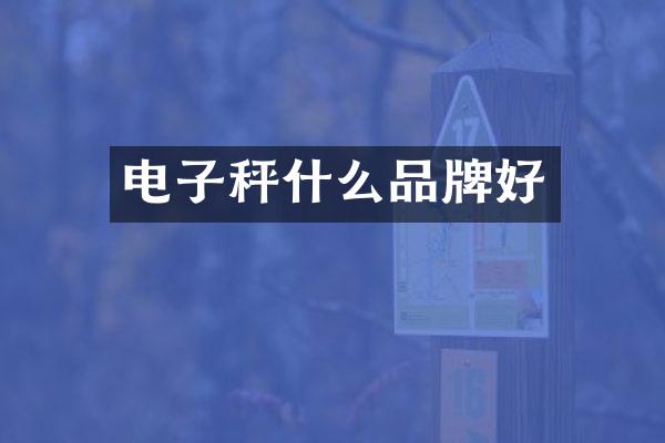 电子秤什么品牌好