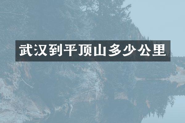 武汉到平顶山多少公里