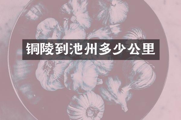 铜陵到池州多少公里