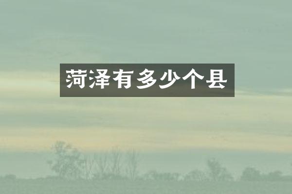 菏泽有多少个县