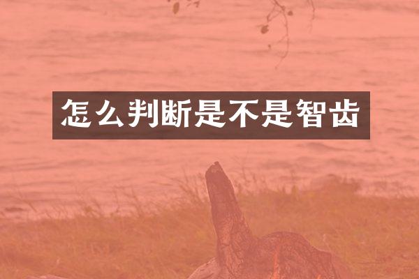 怎么判断是不是智齿