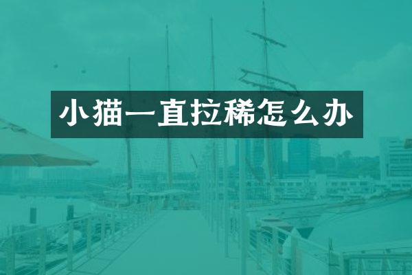 小猫一直拉稀怎么办