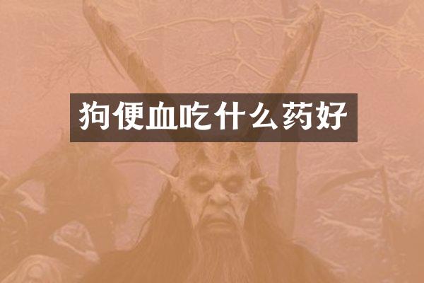 狗便血吃什么药好