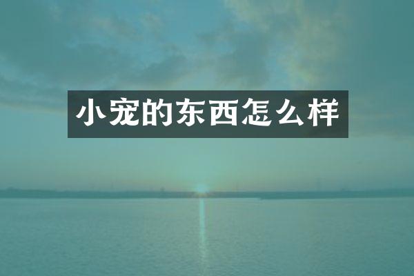 小宠的东西怎么样