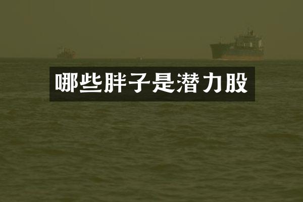 哪些胖子是潜力股