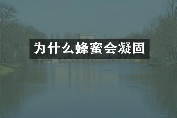为什么蜂蜜会凝固