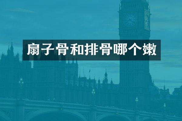 扇子骨和排骨哪个嫩