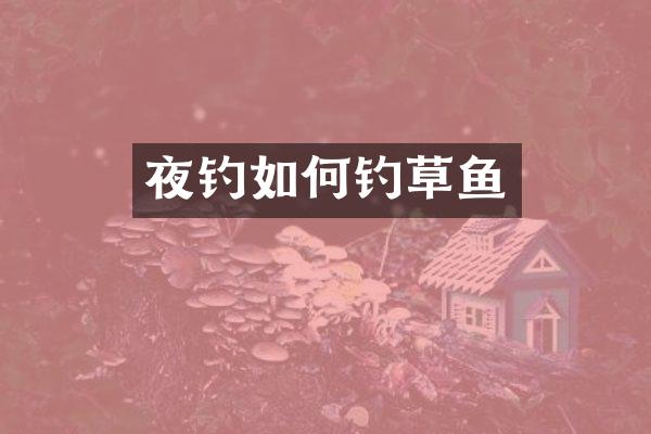 夜钓如何钓草鱼