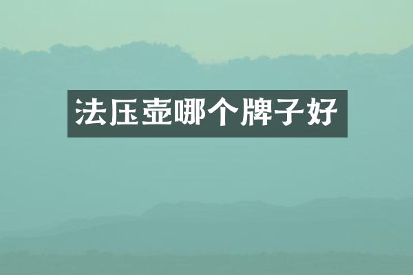 法压壶哪个牌子好