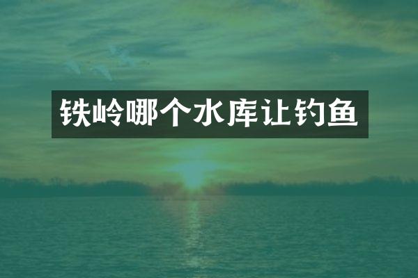 铁岭哪个水库让钓鱼