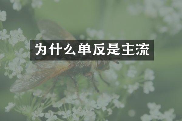 为什么单反是主流