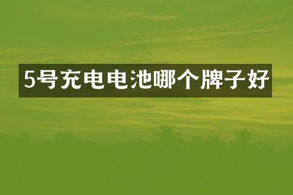 5号充电电池哪个牌子好