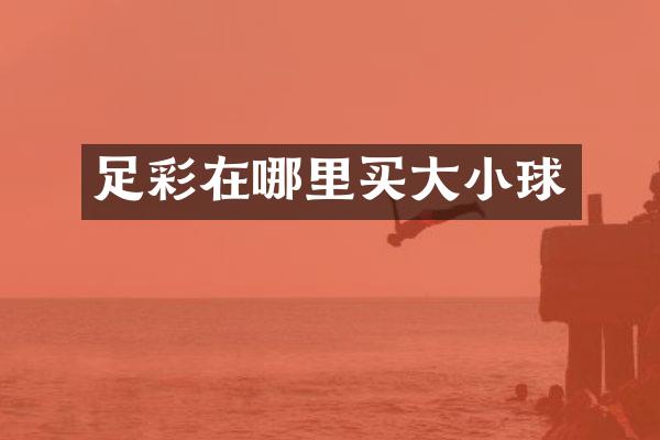 足彩在哪里买大小球