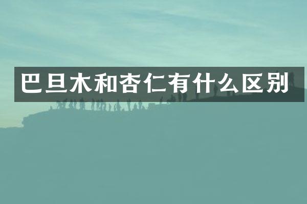 巴旦木和杏仁有什么区别