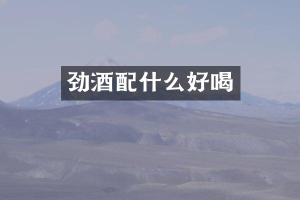 劲酒配什么好喝