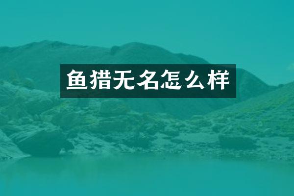 鱼猎无名怎么样