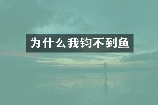 为什么我钧不到鱼