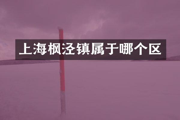 上海枫泾镇属于哪个区
