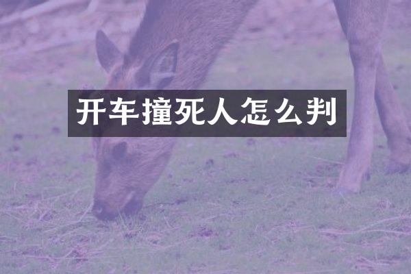 开车撞死人怎么判