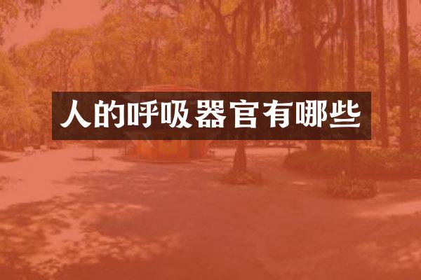 人的呼吸器官有哪些