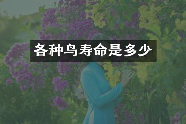各种鸟寿命是多少