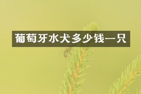 葡萄牙水犬多少钱一只