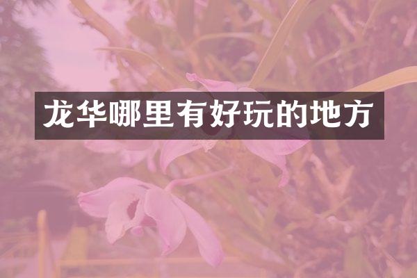 龙华哪里有好玩的地方