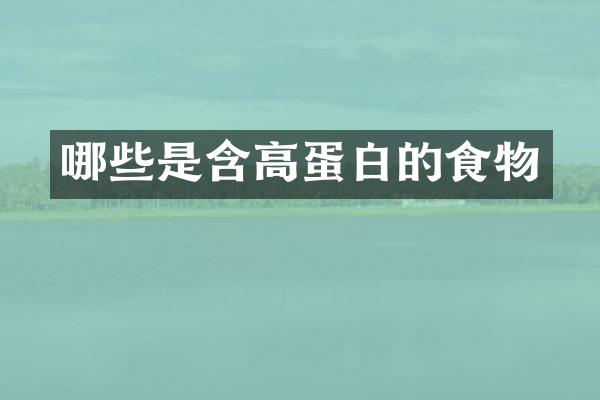 哪些是含高蛋白的食物